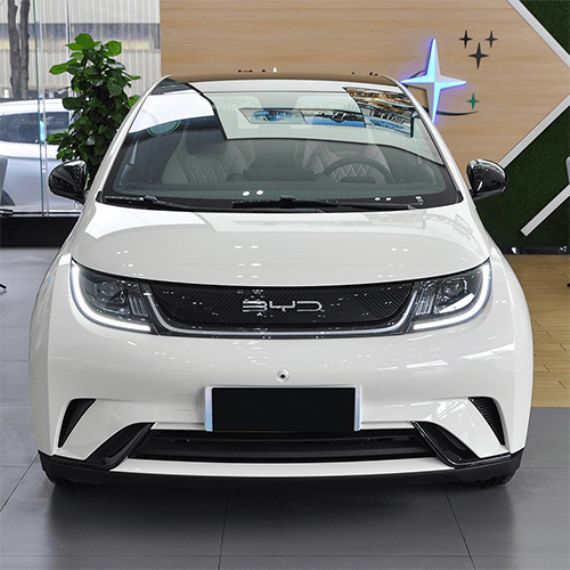 BYD dolphin - UC00109