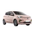 2023 Version New Energy Vehicle Hot Sale Car Cheapest Electric E Star Mini Electric Cars - CH00076