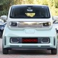 Adult Small Used Car Baojun Mini Cars Hot Sale Adult Electric 4 wheels Vehicle Automobile - CH00098