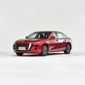 Hongqi H5 Petrol Gas Gasoline - CH00044